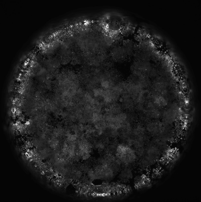 Fluorescence_testing_001-website