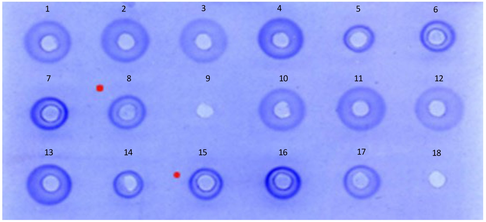 vaccines-12-00596-g001 vaccines-12-00596-g001