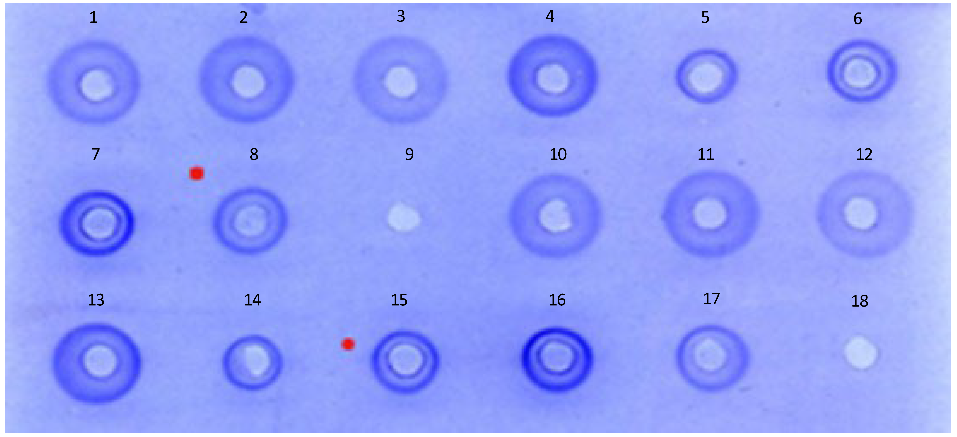 vaccines-12-00596-g001